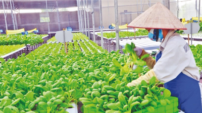 Bộ Tài chính ban hành Thông tư bãi bỏ hướng dẫn phân loại và đánh giá hợp tác xã