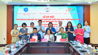 Hợp tác phát triển Halal trong hợp tác xã: Cánh cửa đưa nông sản Việt ra thế giới