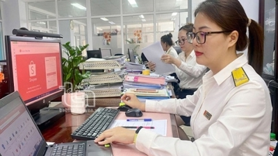 Đồng bộ chuyển đổi tên gọi, chức danh và thẩm quyền trong hệ thống thuế
