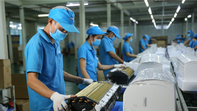 Tín hiệu phục hồi rõ nét của khu vực doanh nghiệp Việt Nam