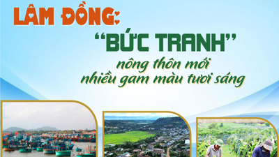 EMAGAZINE: Lâm Đồng: “Bức tranh” nông thôn mới nhiều gam màu tươi sáng 
