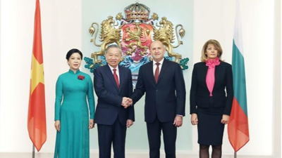 Tổng Bí thư Tô Lâm hội đàm với Tổng thống Bulgaria Rumen Radev