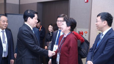 Chủ tịch nước Lương Cường tiếp Nhà sáng lập Tập đoàn MEBO International