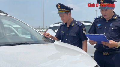 VIDEO: TP. Hồ Chí Minh: Thị trường ô tô nhập khẩu phong phú nguồn hàng