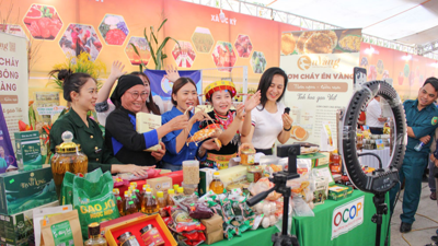 Kết nối hai khu vực kinh tế tư nhân - tập thể, tạo liên kết phát triển bền vững Kết nối hai khu vực kinh tế tư nhân - tập thể, tạo liên kết phát triển bền vững