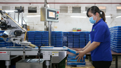 Số lượng doanh nghiệp tăng nhưng áp lực rút lui vẫn lớn Số lượng doanh nghiệp tăng nhưng áp lực rút lui vẫn lớn