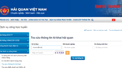 VIDEO: Tra cứu và theo dõi tình trạng thực hiện thủ tục hải quan trực tuyến VIDEO: Tra cứu và theo dõi tình trạng thực hiện thủ tục hải quan trực tuyến