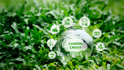 Thúc đẩy hình thành thị trường carbon minh bạch tại Việt Nam
