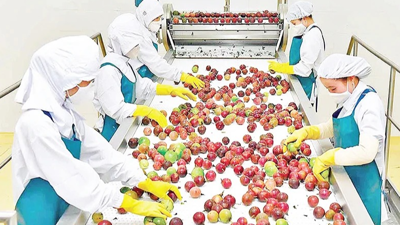 Quy định mới của Trung Quốc về xuất khẩu nông sản, thực phẩm Quy định mới của Trung Quốc về xuất khẩu nông sản, thực phẩm