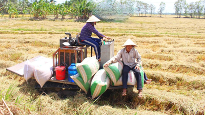 Vĩnh Long triển khai kế hoạch giảm nghèo bền vững năm 2025 với nhiều dự án trọng điểm
