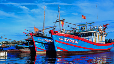 Quyết liệt gỡ “thẻ vàng” EC: Mở rộng dư địa phát triển cho thủy sản Việt Nam Quyết liệt gỡ “thẻ vàng” EC: Mở rộng dư địa phát triển cho thủy sản Việt Nam