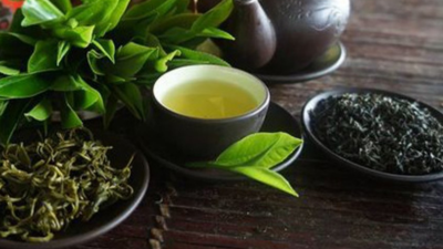 Thái Lan tăng nhập khẩu chè từ Việt Nam Thái Lan tăng nhập khẩu chè từ Việt Nam