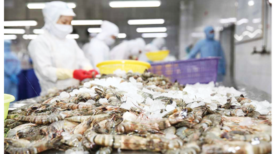 Xuất khẩu tôm Việt Nam lập đỉnh mới trong tháng 10/2025