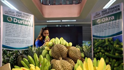 Mỹ bãi bỏ thuế đối ứng áp lên 1 tỷ USD hàng nông sản của Philippines