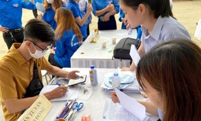 Kế hoạch triển khai thi hành Luật Việc làm