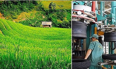 Phê duyệt Chương trình phát triển ngành công nghiệp môi trường Việt Nam giai đoạn 2025-2030