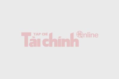 Dự toán quyết toán kinh phí công tác xử lý, rà soát văn bản quy phạm pháp luật