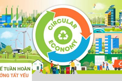 Việt Nam từng bước hoàn thiện khung pháp lý về phát triển nền kinh tế tuần hoàn