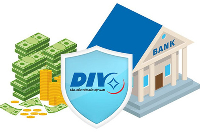 Bảo hiểm tiền gửi Việt Nam do Nhà nước nắm giữ 100% vốn điều lệ