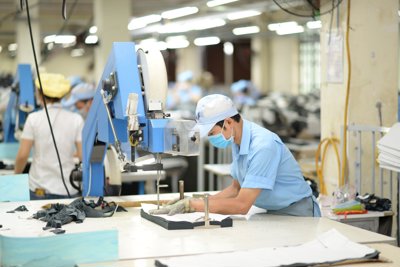 Chính sách miễn, giảm thuế, phí, lệ phí đạt khoảng 47,8 nghìn tỷ đồng   