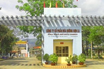DATC và những vướng mắc trong xử lý nợ gắn với tái cơ cấu doanh nghiệp