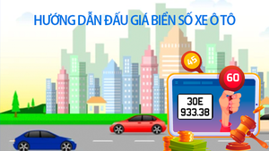 Hướng dẫn đấu giá trực tuyến biển số ô tô
