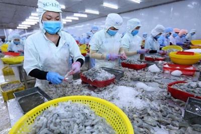 Giá trị xuất khẩu cá tra, tôm tăng mạnh trong 11 tháng năm 2022