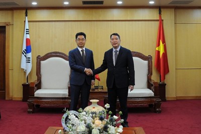 Thúc đẩy hợp tác song phương giữa hai cơ quan Thuế Việt Nam và Hàn Quốc
