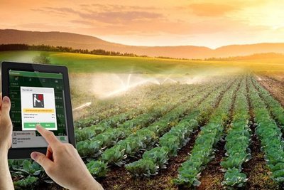 Giải pháp thúc đẩy chuyển đổi số khu vực kinh tế hợp tác, hợp tác xã