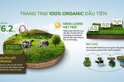 Khi doanh nghiệp Việt tiên phong phát triển kinh tế tuần hoàn