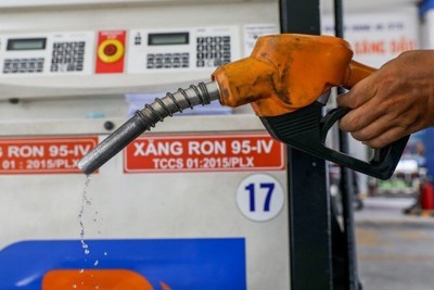 Thực hiện giảm thuế bảo vệ môi trường đối với xăng, dầu, mỡ nhờn từ 01/01/2023
