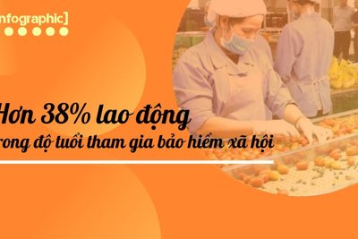 Hơn 38% lao động trong độ tuổi tham gia bảo hiểm xã hội