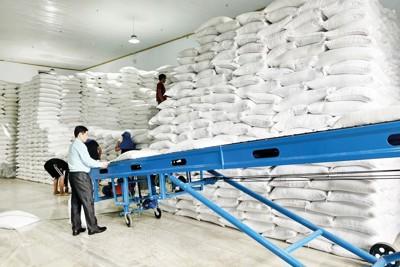 Nâng cao hiệu quả quản lý, sử dụng nguồn lực dự trữ quốc gia 