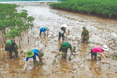 Giải pháp thích ứng, ứng phó biến đổi khí hậu cho cộng đồng dân cư