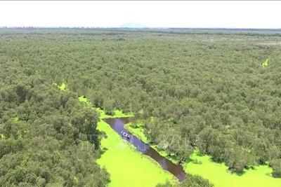 Năm 2030, Việt Nam phấn đấu tăng diện tích các khu bảo tồn biển, ven biển đạt khoảng 6%