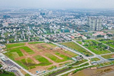 Giảm 30% tiền thuê đất, thuê mặt nước cho đối tượng bị ảnh hưởng bởi dịch COVID-19