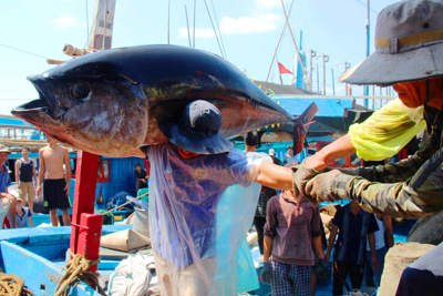 Phát triển bền vững các ngành kinh tế biển gắn với quy hoạch, phát triển đô thị của tỉnh Bình Định