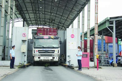 10 chỉ tiêu cải cách hành chính, đơn giản hóa thủ tục hải quan 