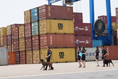 Phát hiện, xử lý 546 vụ vi phạm pháp luật hải quan trong tháng đầu của năm 2023