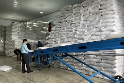 Đề xuất ban hành Quy chuẩn kỹ thuật đối với thiết bị khoan cắt dự trữ quốc gia