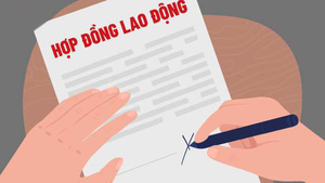 Các trường hợp ký hợp đồng lao động trong cơ quan hành chính, đơn vị sự nghiệp công lập