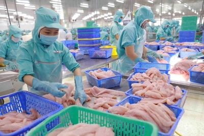 Trung Quốc có thể "soán ngôi vương" của Mỹ trong nhập khẩu thuỷ sản Việt