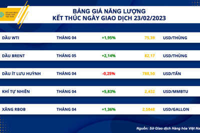 Giá dầu thô thế giới tăng 2%