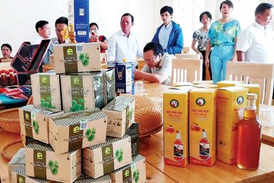 Tập trung nâng cao chất lượng sản phẩm OCOP