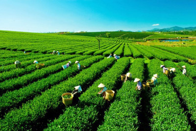 Sản xuất nông, lâm nghiệp và thủy sản tháng 2 năm 2023