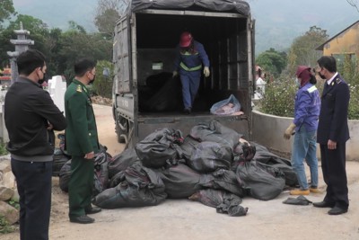 Tiêu hủy hơn 1.500 kg tai lợn không rõ nguồn gốc, không bảo đảm vệ sinh an toàn thực phẩm