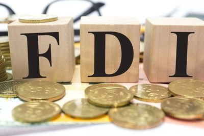 FDI tích cực sẽ hỗ trợ Việt Nam trở thành một thị trường mới nổi