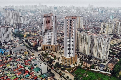 Công khai thông tin đất đai trên môi trường điện tử chậm được cải thiện