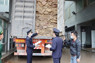 Đổi mới phương thức quản lý xuất xứ hàng hóa xuất nhập khẩu phù hợp cam kết quốc tế