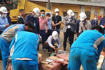 Tiêu hủy gần 15 tấn hàng lậu, hàng giả, hàng vi phạm sở hữu trí tuệ
